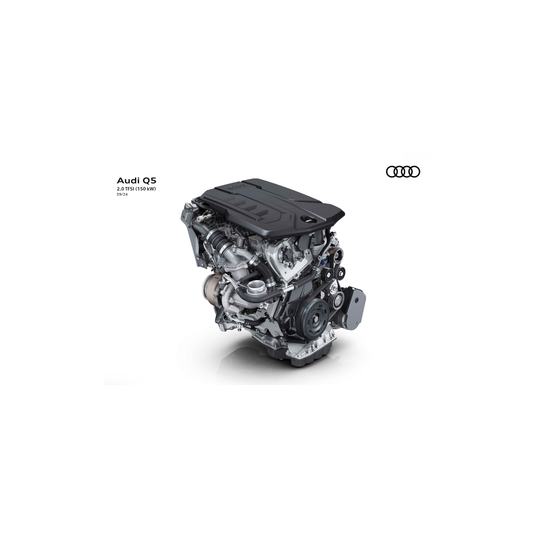 AUDI Q5 2.0 tfsi mhev+ Business 204cv s-tronic (lungo termine)