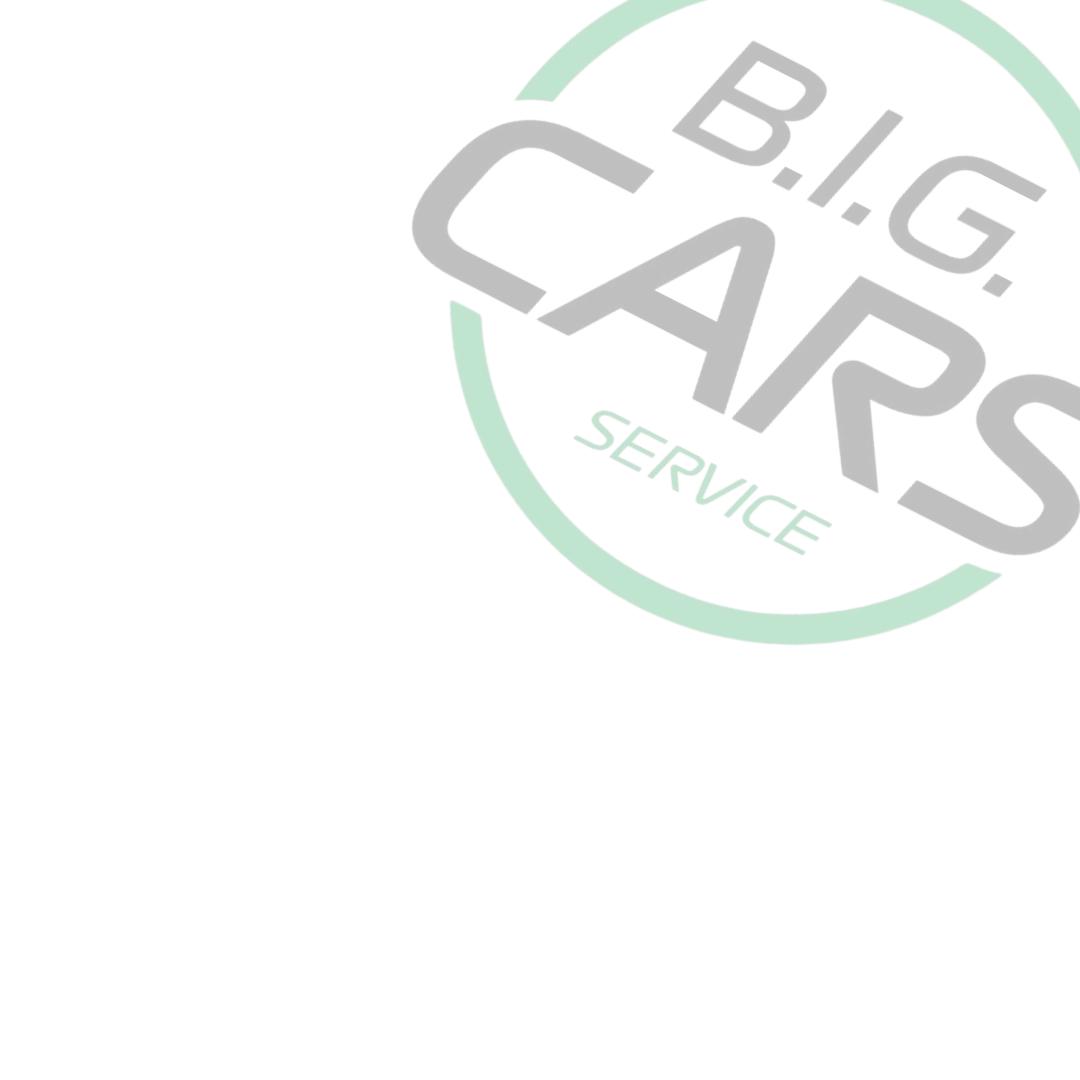 Officina Specializzata