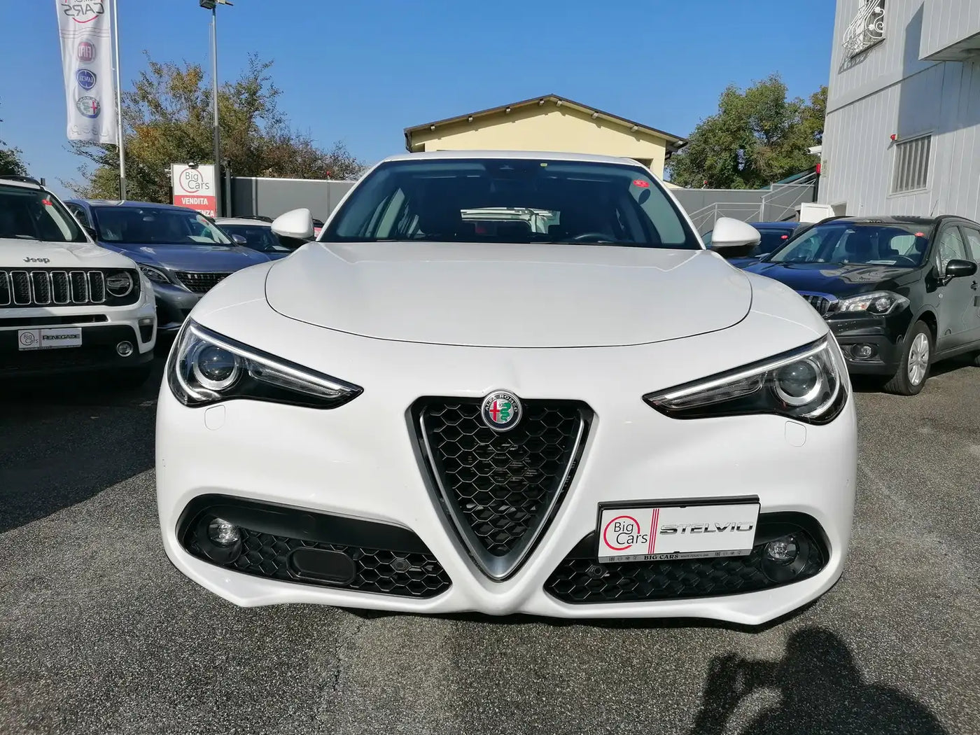 Alfa Romeo - Stelvio Q4 Business