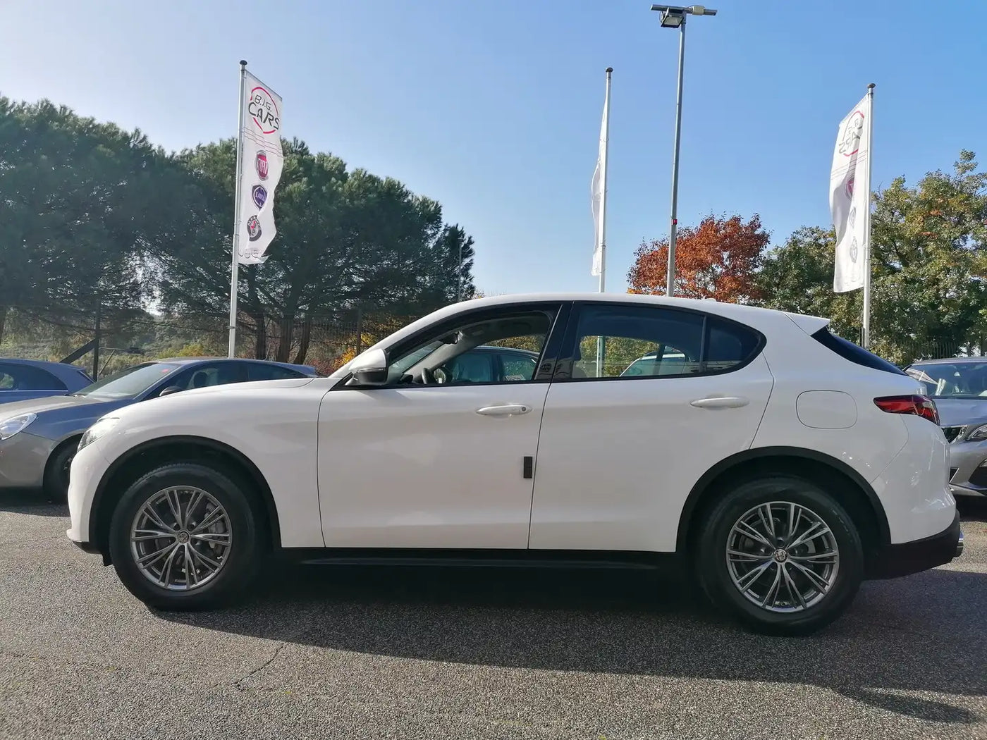 Alfa Romeo - Stelvio Q4 Business
