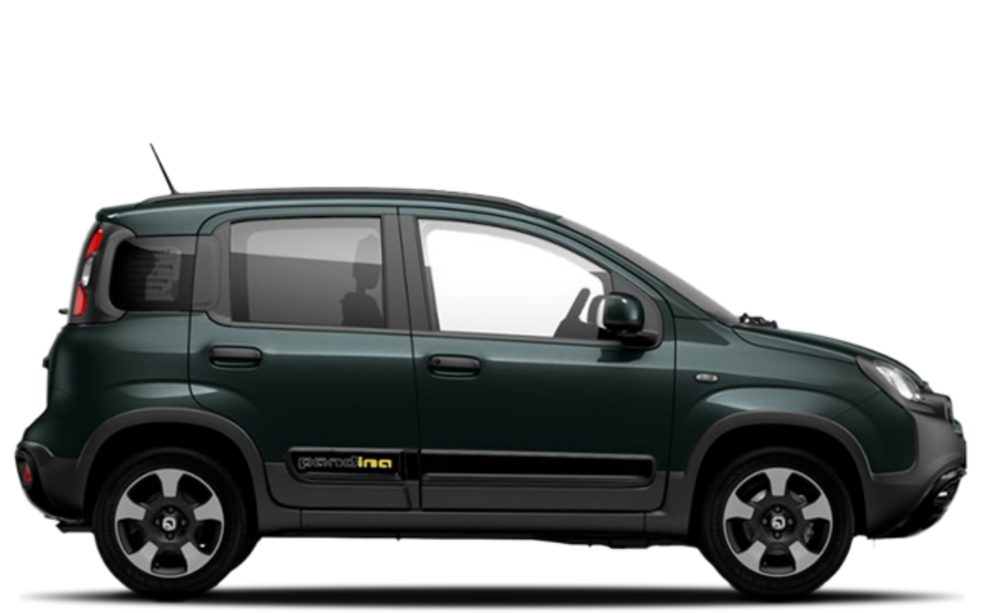 Pandina - Verde Foresta