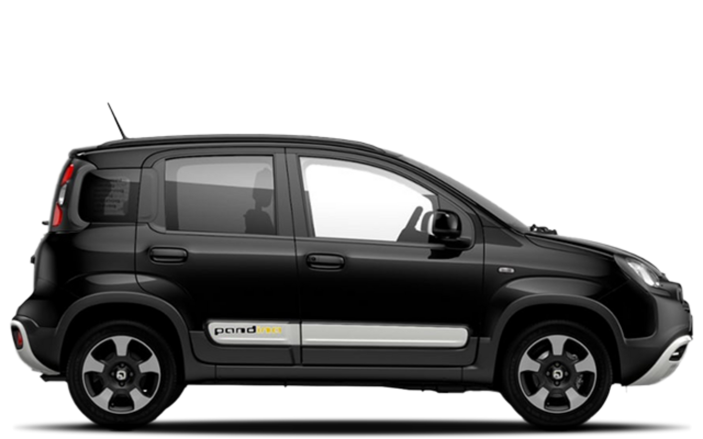 Pandina - Nero Cinema